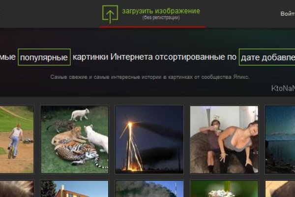 Кракен даркнет зеркало пв