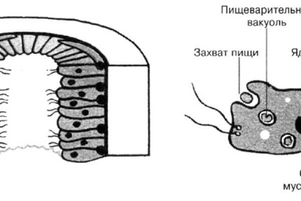 Даркнет кракен отзывы о платформе