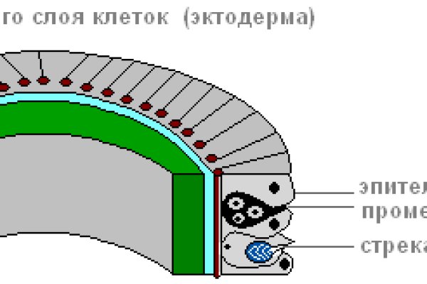 Сайт кракена актуальный