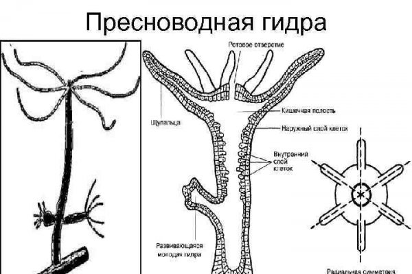 Услуги даркнета