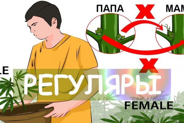 Кракен тор kr2web in